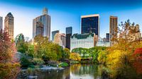 New York Central Park in the fall by Remco Piet thumbnail