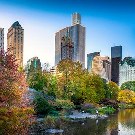 New York Central Park in the fall by Remco Piet