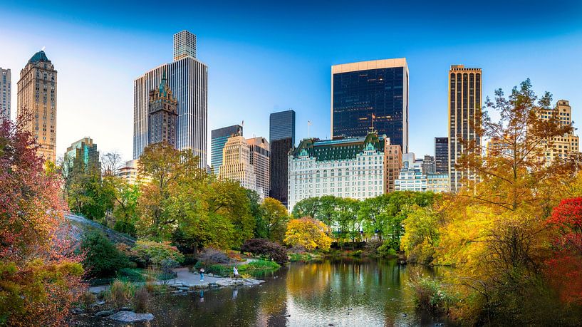 New York Central Park in the fall by Remco Piet