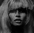 Brigitte Bardot Love - 24 Colours -. Grey Black - Jeu par Felix von Altersheim Aperçu