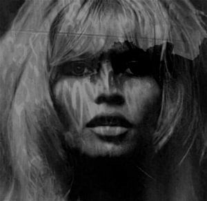 Brigitte Bardot Love - 24 Colours -. Grey Black - Game von Felix von Altersheim