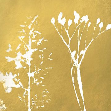 Weißes Gras und ein Zweig auf goldenem Hintergrund. Botanische Kunst von Dina Dankers