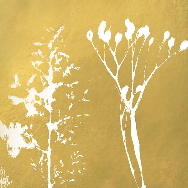 Herbe blanche et brindille sur fond doré. Art botanique par Dina Dankers