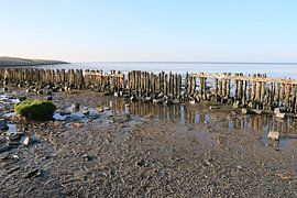 Moddergat, Waddenzee