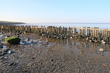 Moddergat, Waddenzee sur Taco Ruiten