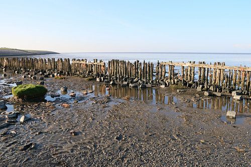 Moddergat, Waddenzee