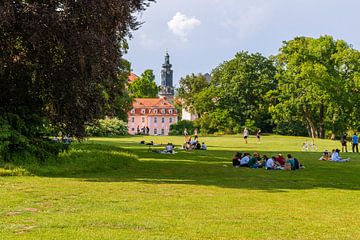 Levendig Ilm Park in Weimar met uitzicht op het Weimar stadspaleis van Mixed media vector arts