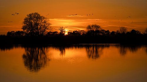 Sonnenuntergang Rohrammer Wildervank