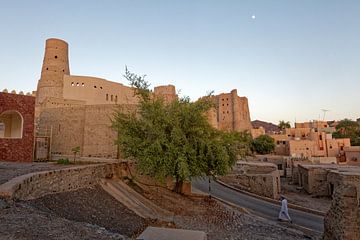 Bahla fort, Oman van x imageditor