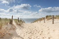 Beach entrance in the dunes to the sea