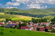 Prachtig landschap bij de Rennsteig/Thüringerwoud van Oliver Hlavaty thumbnail