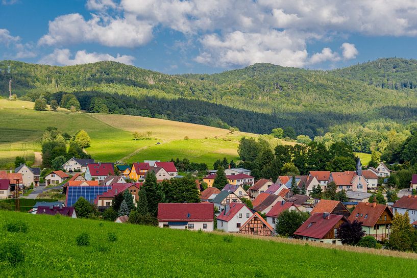 Prachtig landschap bij de Rennsteig/Thüringerwoud van Oliver Hlavaty