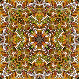 The Devil in the Details