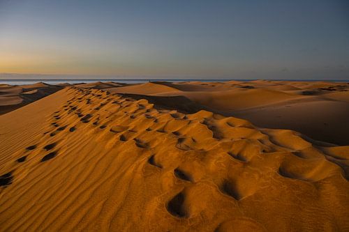 Duinen Mas Palomas van Sjaak Kooijman
