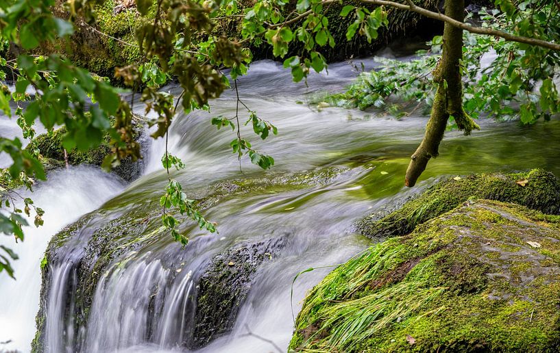 Rivière dans la vallée de la Trieb Vogtland Cascade Nature 05 par Animaflora PicsStock