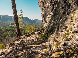 Grosse Lorenzstein, Suisse saxonne - paroi rocheuse côté sud