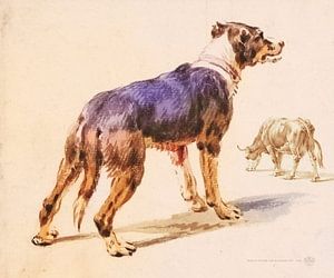 Der Hund und die Kuh