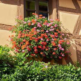 Half-timbered house in Rothenburg ob der Tauber by Heiko Kueverling
