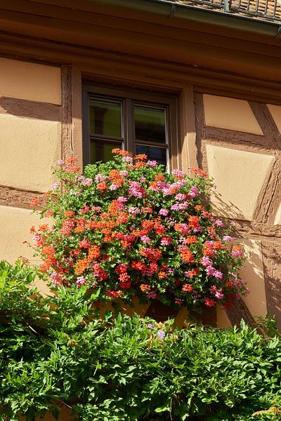 Vakwerkhuis in Rothenburg ob der Tauber van Heiko Kueverling