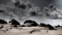 Terschelling, Wadden - meeuwen, wolken, duinen, storm