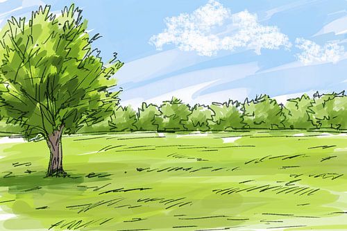 Serene Boom en Grasveld Onder Blauwe Lucht