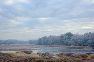 Bevroren ochtend van Johan Vanbockryck thumbnail