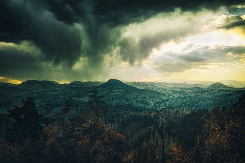 Kirnitzschtal tussen rotsen en zandstenen