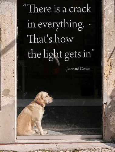 Hond in etalage van Marit Lindberg