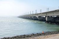 Fisherman at Zeeland storm surge barrier