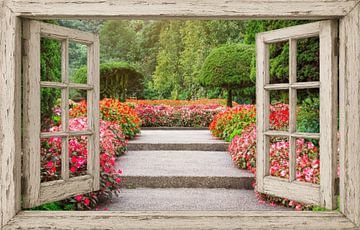 Rustiek raam naar bloemperk