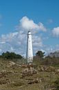 Witte vuurtoren (Zuidertoren) op Schiermonnikoog van Patrick Verhoef thumbnail