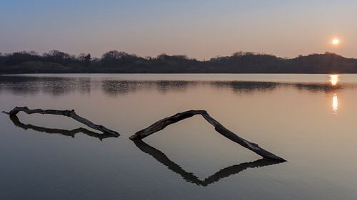 For what you dream of