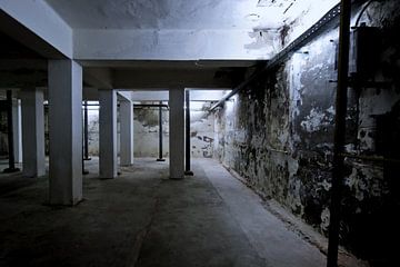 Picture of a room in a dairy. by Therese Brals