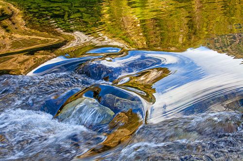 Les personnages de Donald Duck se reflètent dans le lac