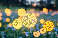 Magical flowers full of light by Imperial Art House thumbnail