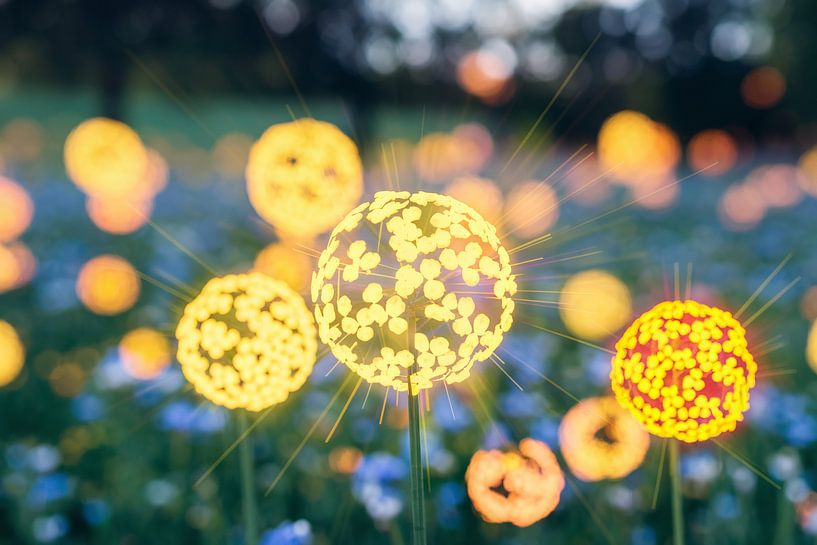 Magical flowers full of light by Imperial Art House