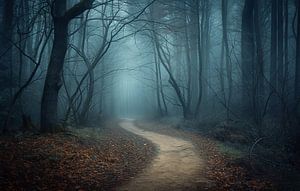 Wald