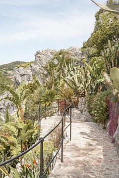 Botanische Tuin in Éze - Zuid Frankrijk Fotografie van Henrike Schenk