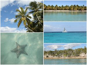 Caribbean Travel Vacation Photo Collage