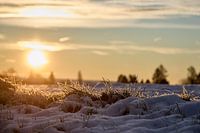 Winterochtend in Detail