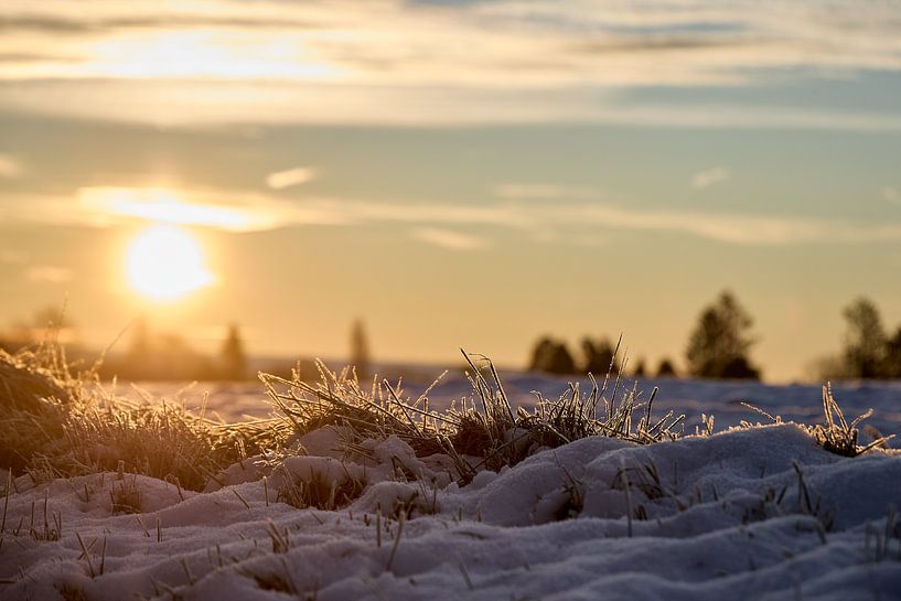 Winterochtend in Detail van Steven Massart