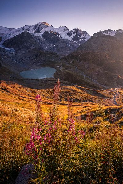 Late summer in the Uri Alps by Nico Schlüter