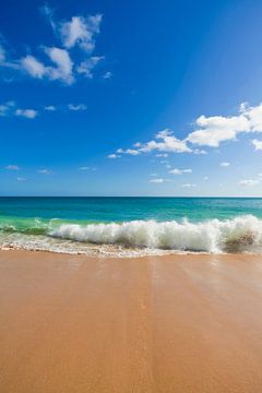 Strand an der Algarve in Portugal von Werner Dieterich