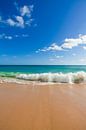 Beach at the Algarve in Portugal by Werner Dieterich thumbnail