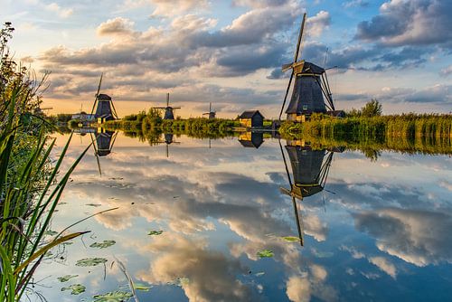 De molens van Kinderdijk
