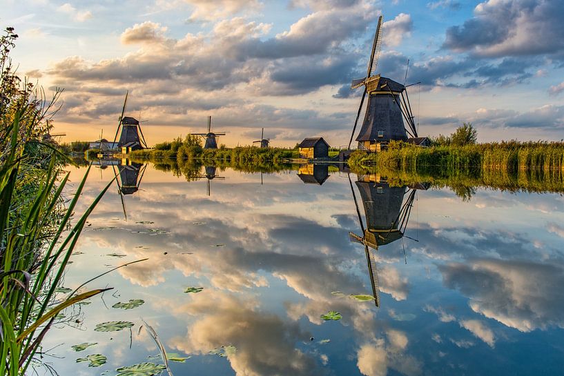 The mills of Kinderdijk by Ron van der Stappen