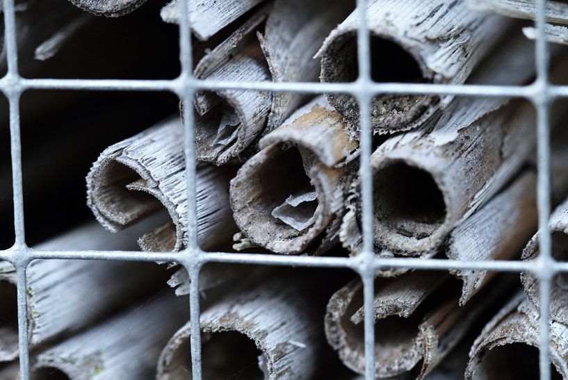 insect hotel par Hetwie van der Putten