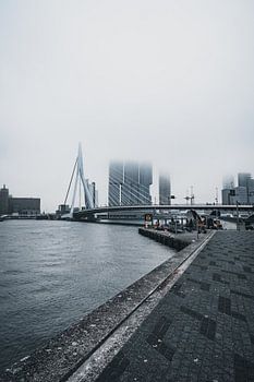 Rotterdam architecture on a misty day, Netherlands