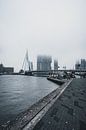 Rotterdamse architectuur op een mistige dag van vedar cvetanovic thumbnail