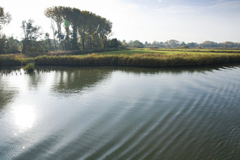 Rivier de Linge